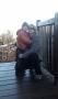 gal/2010/18 Radyne/_thb_IMAGE_369.jpg